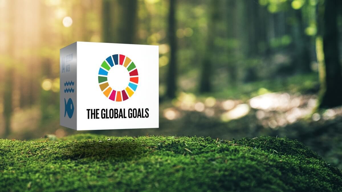 Würfel mit Schriftzug "The Global Goals", der im Wald schwebt